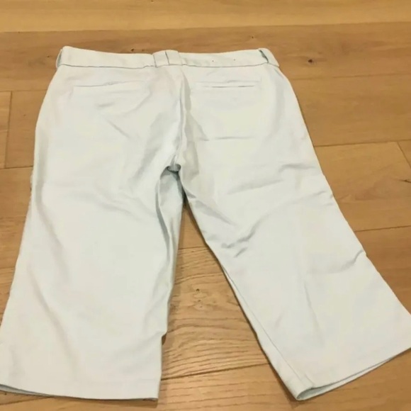 Banana Republic Capri Martin Fit Pants Size 14 Baby Blue - Picture 2 of 11